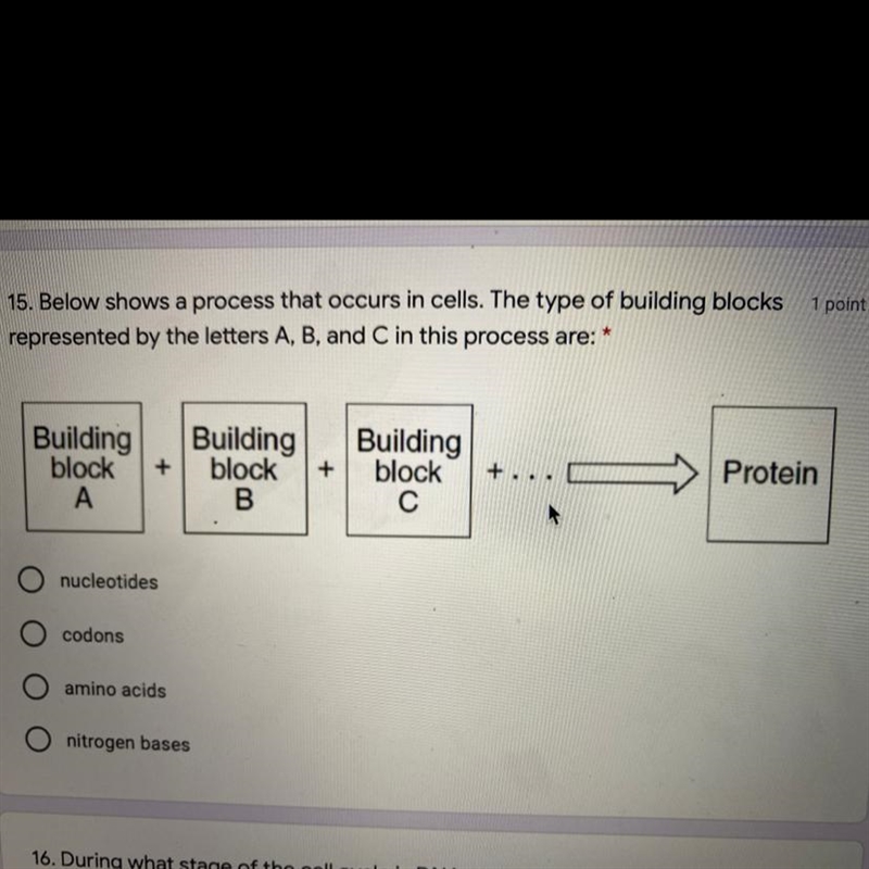 Below shows a process that occurs in cells. The type of building blocks represented-example-1