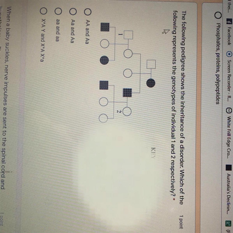 Which one? A B C OR D-example-1