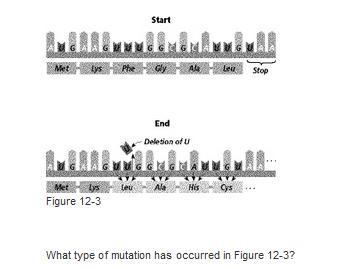 NEED HELP ASAP BIOLOGY 40 POINTS-example-1