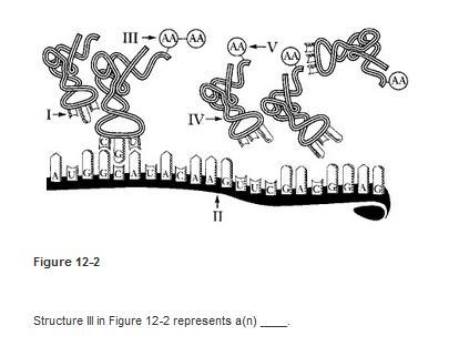 NEED HELP ASAP BIOLOGY 40 POINTS-example-2