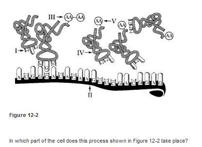 NEED HELP ASAP BIOLOGY 40 POINTS-example-4