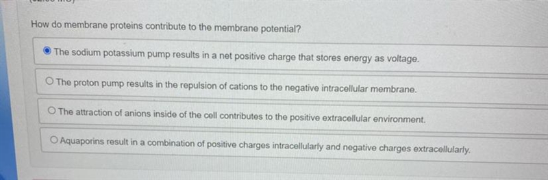 Helpppppp please!!! How do membrane proteins contribute to the membrane potential-example-1