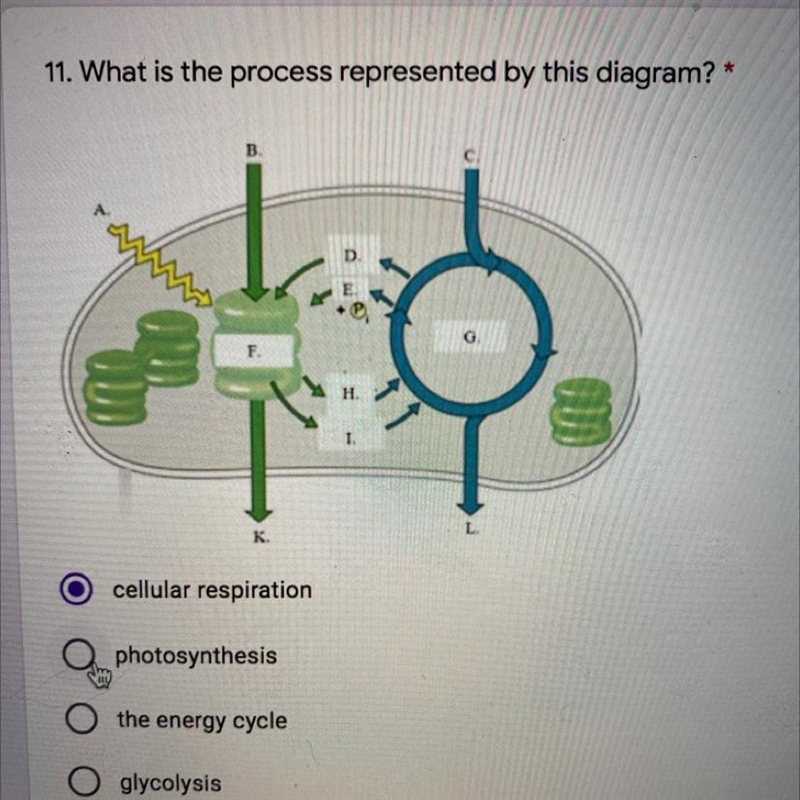 What is the process represented by this diagram-example-1