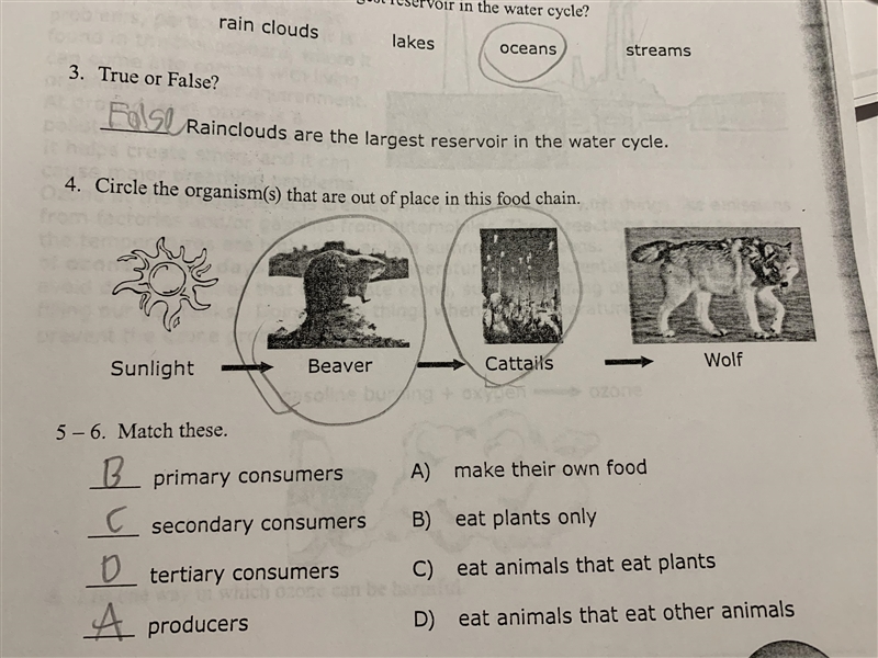 Me and my brother are confused on an question “ Circle the organism(s) that are out-example-2