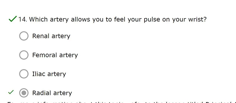 Which artery allows you to feel your pulse on your wrist?-example-1