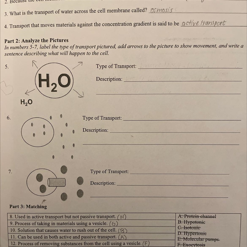 I need help on the unanswered questions-example-1