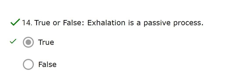 True or False: Exhalation is a passive process.-example-1