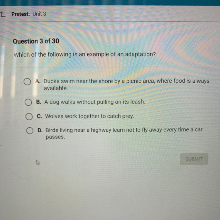 Which of the following is an example of an adaptation? A. Ducks swim near the shore-example-1