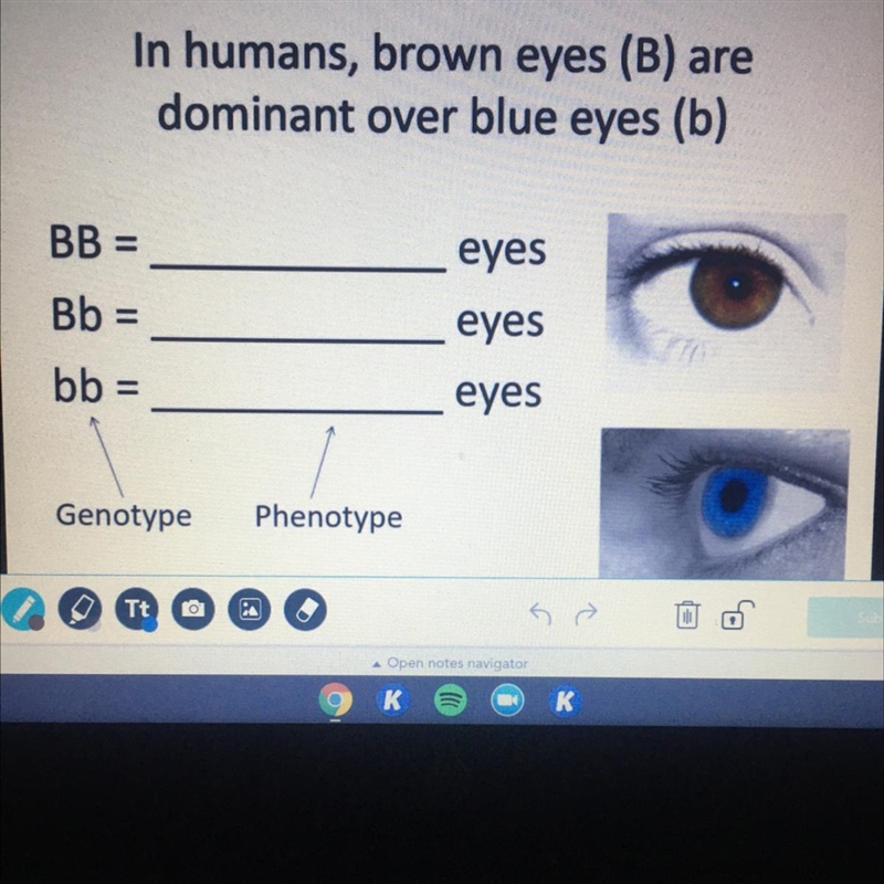 Need help figuring this out! Am having a bit of trouble with it-example-1