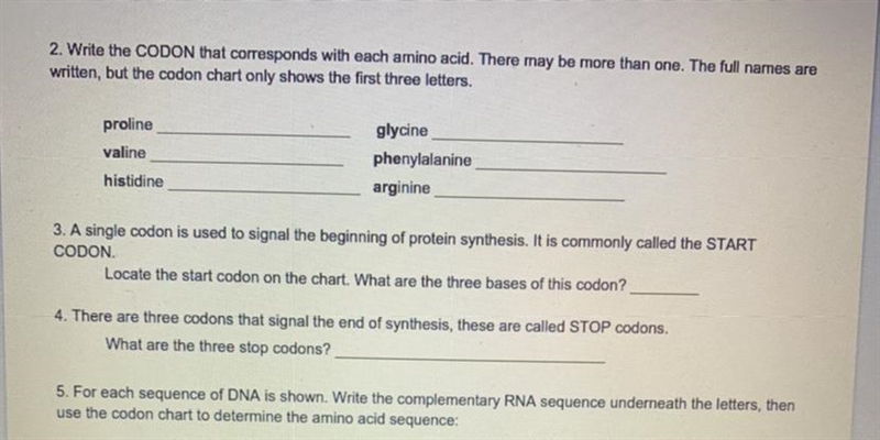 AYO PLS HELP...... condon amino acids ect-example-1