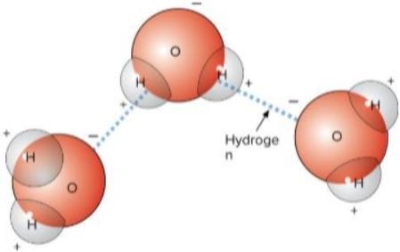 The type of molecule shown below is. A. Carbon Dioxide. B. Hydrogen. C. Oxygen. D-example-1