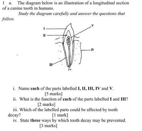 Please answer the following questions correctly​-example-1