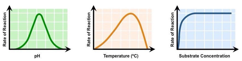 How can I tell the INDEPDENT variable of these factors?-example-1