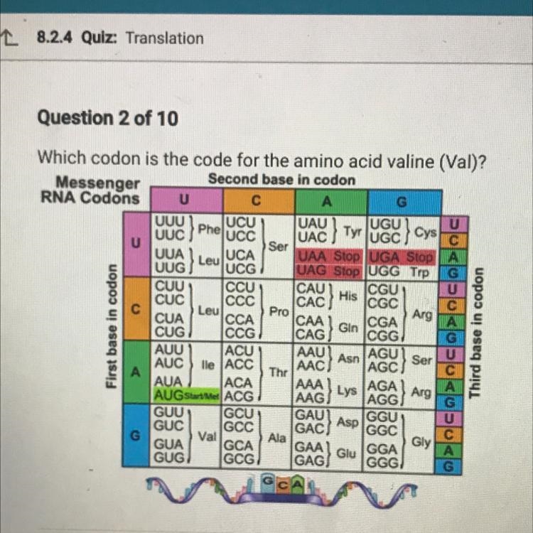 A. GUC B. CGU C. UCG D. UGU-example-1