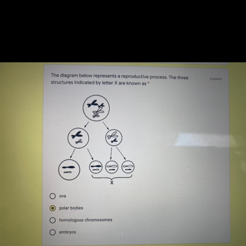 The diagram below represents a reproductive process. The three structures indicated-example-1