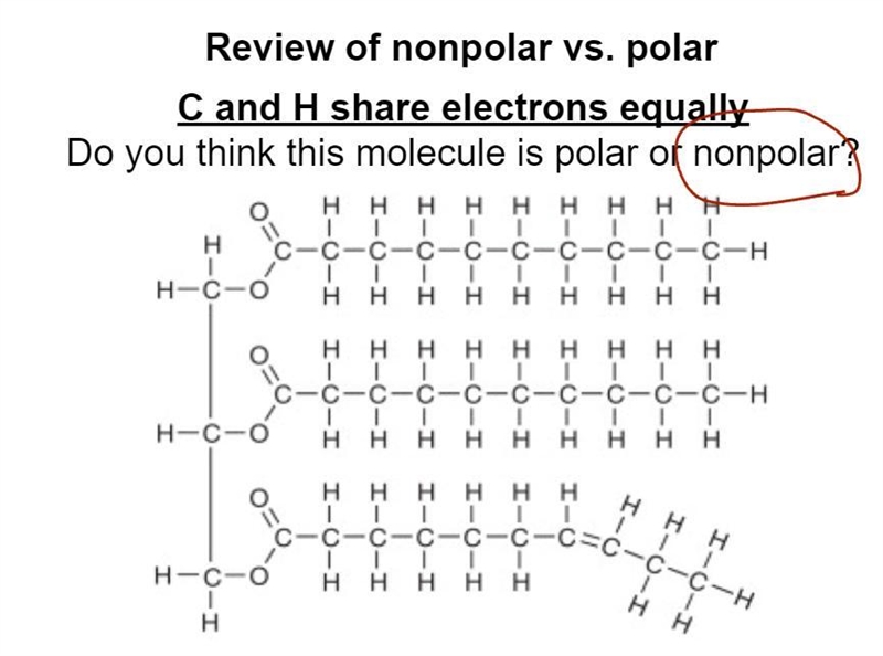 Why is this molecule nonpolar?-example-1