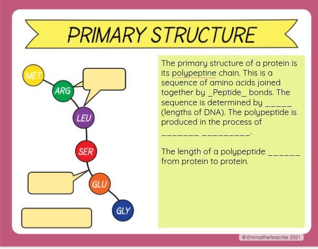 Please help, it's about lipids and protiens. Thanks alot.-example-1