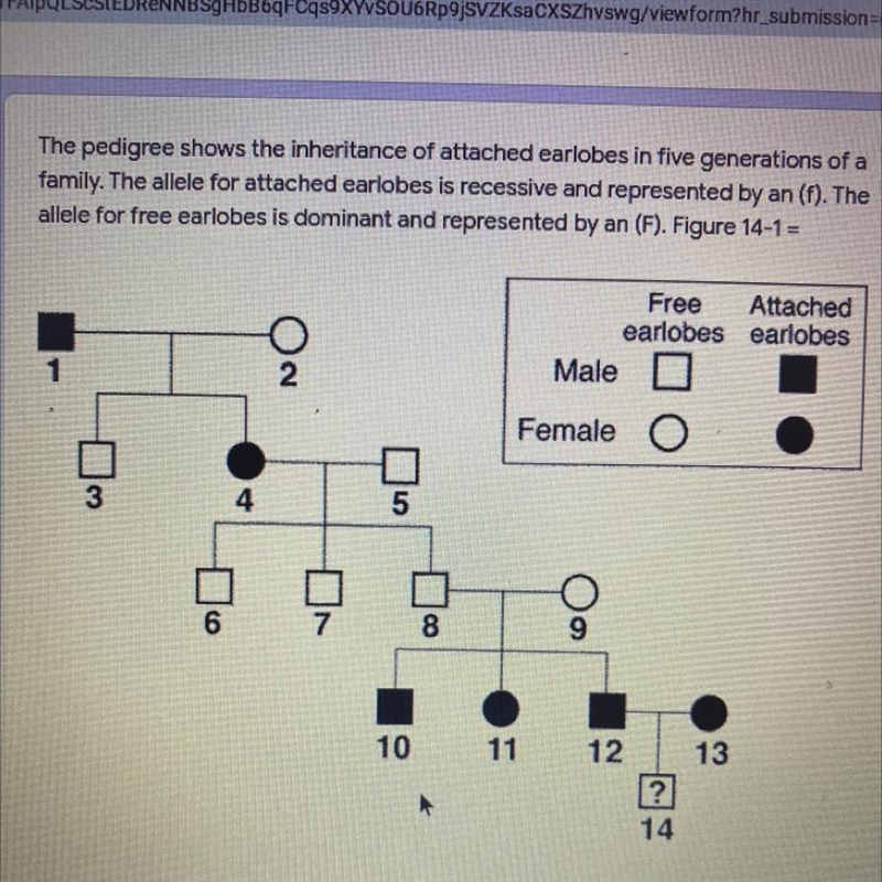 What is the genotype of individual #1 I NEED HELP PLEASE-example-1