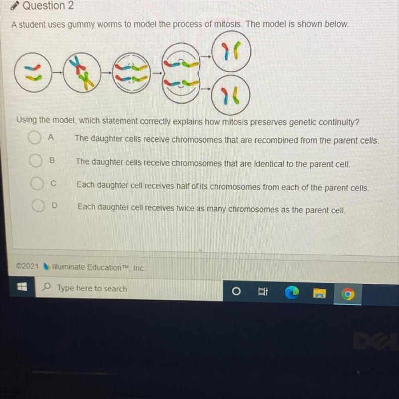 Please help me with this!!!!!!-example-1