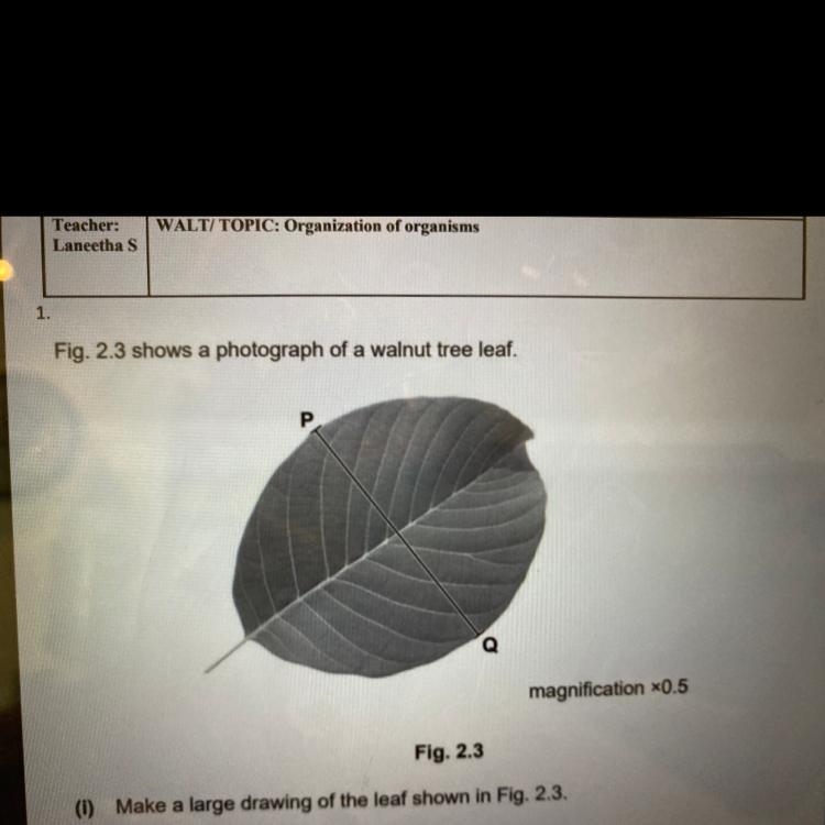 How can we make larger drawings ? Can someone tell me the guidelines please help-example-1