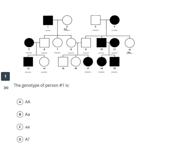 What is the genotype of person #1-example-1