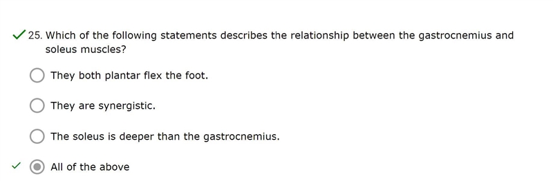 Which of the following statements describes the relationship between the gastrocnemius-example-1