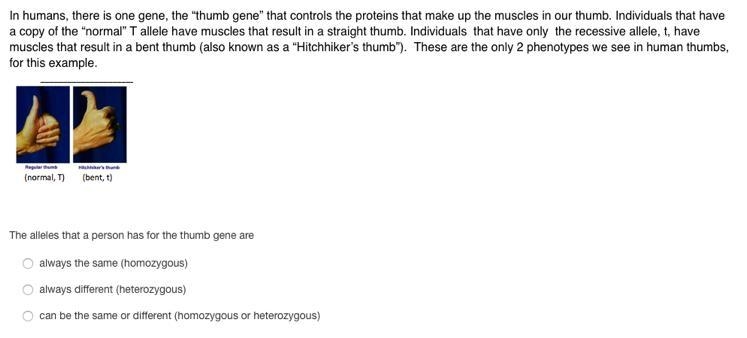 What's the answer please?-example-1