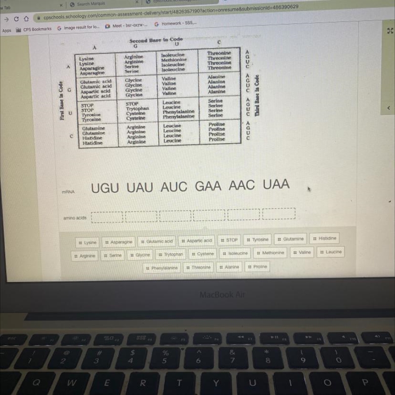 MRNA UGU UAU AUC GAA-example-1