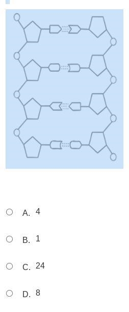 How many nucleotides are present?-example-1