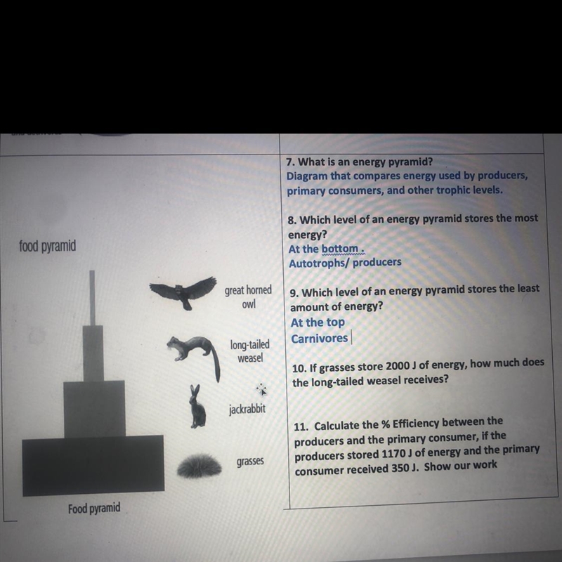 What are the answers to 10 and 11?-example-1