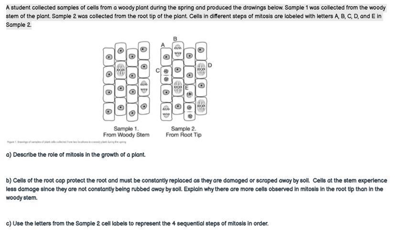 HELP MEE Its about bio and its confusing-example-1