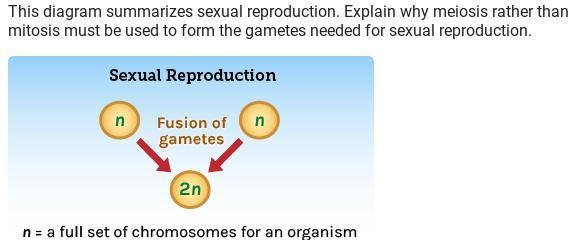 I need help with one paragraph.-example-1