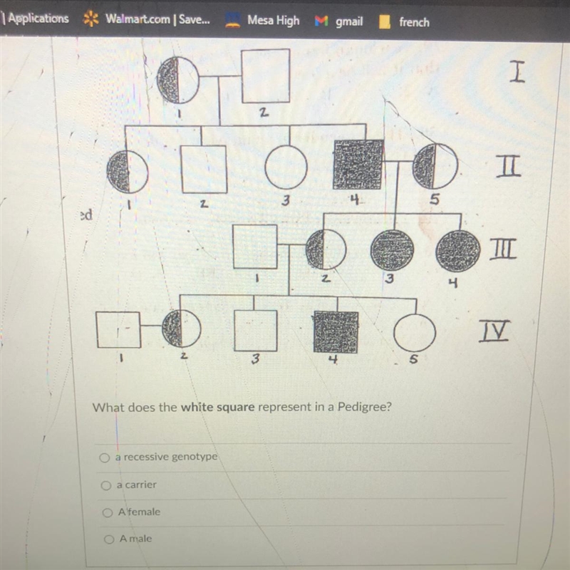 Use the Pedigree Chart to answer the following question What does the white square-example-1