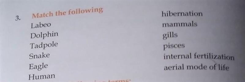 Help me with this question plzz!​-example-1