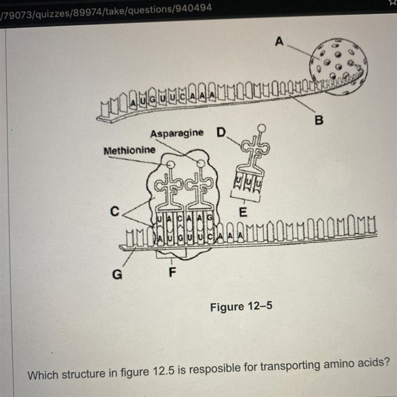 A B C D Need help PLEASEE-example-1