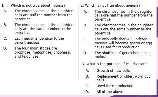 Mitosis and meiosis ???????????/-example-1