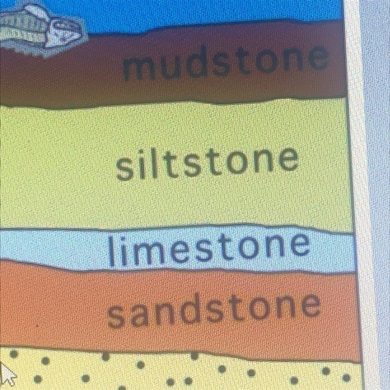 Which is the youngest rock in this strata? mudstone siltstone limestone sandstone-example-1