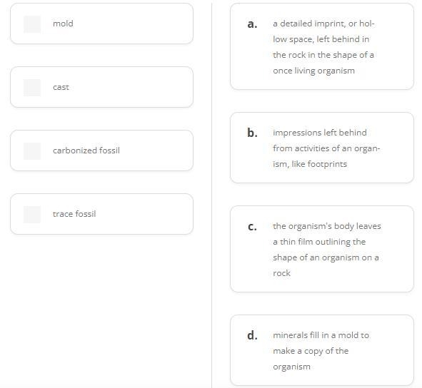 Match each type of fossil to the description that best matches.-example-1