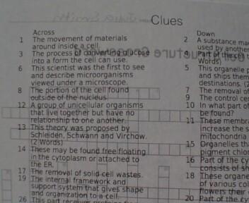 CELL STRUCTURE CROSSWORD GRADE 7 BIOLOGY-example-1