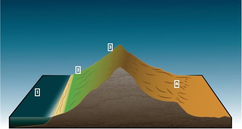 Describe the connection between a mountain range and a rain shadow. This illustration-example-1