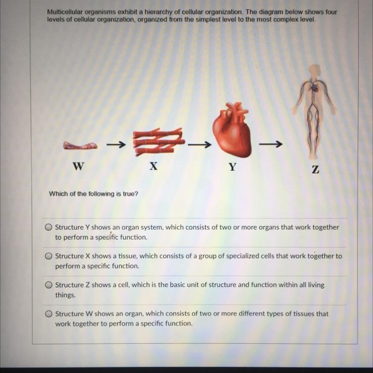 Help please due today-example-1