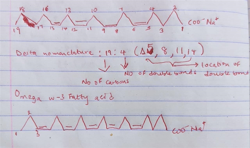 Consider the fatty acid. A carboxylate salt is attached to a 19 carbon chain, where-example-1