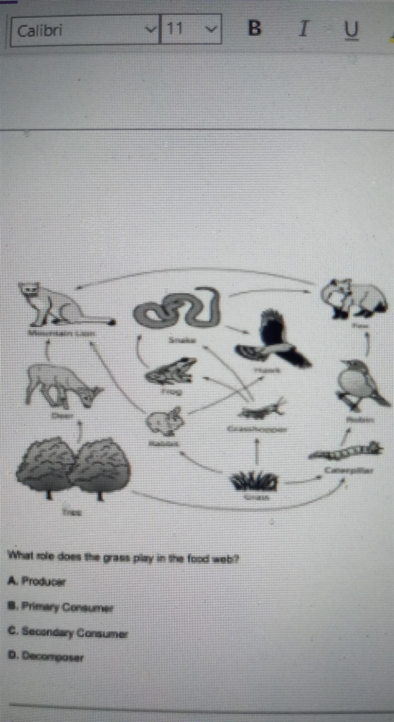 What role does the grass play in the food web? A. Producer B. Primary Consumer C. secondary-example-1