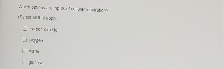 Which options are inputs of cellular respiration? 1. carbon dioxide 2. oxygen 3. water-example-1