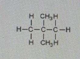 What is the molecule shown below? A. Pentane B. Trimethylethane C. 2,2-dimethylpropane-example-1