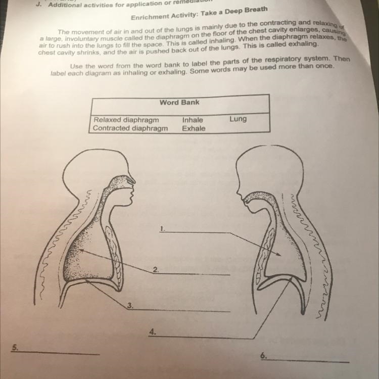 Help science po this-example-1