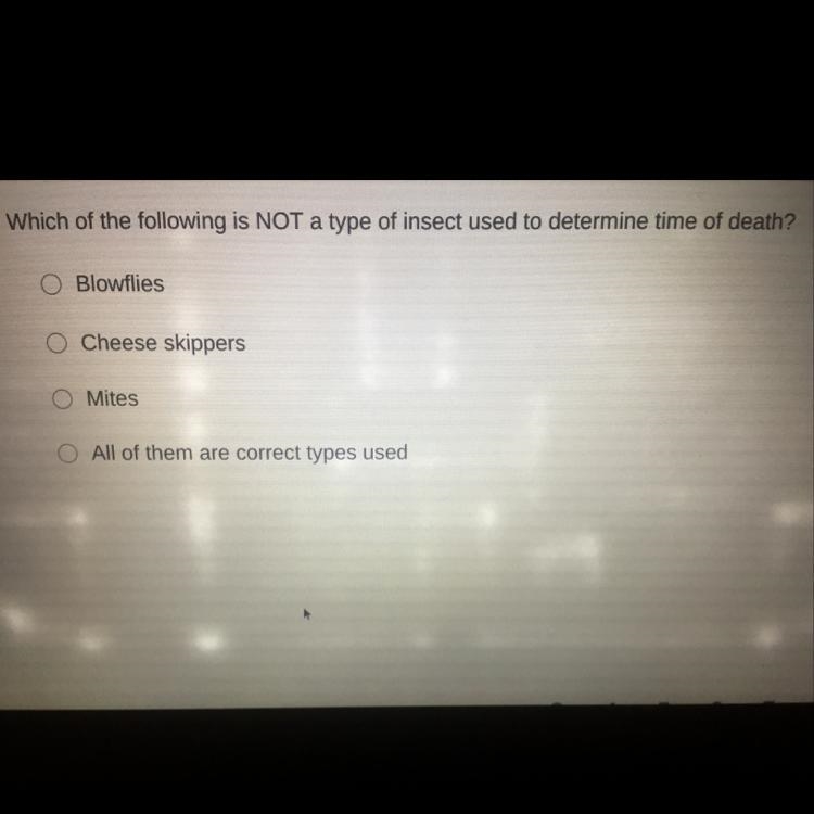 Yea can you just help me out I don’t want to do this because I have other thing to-example-1