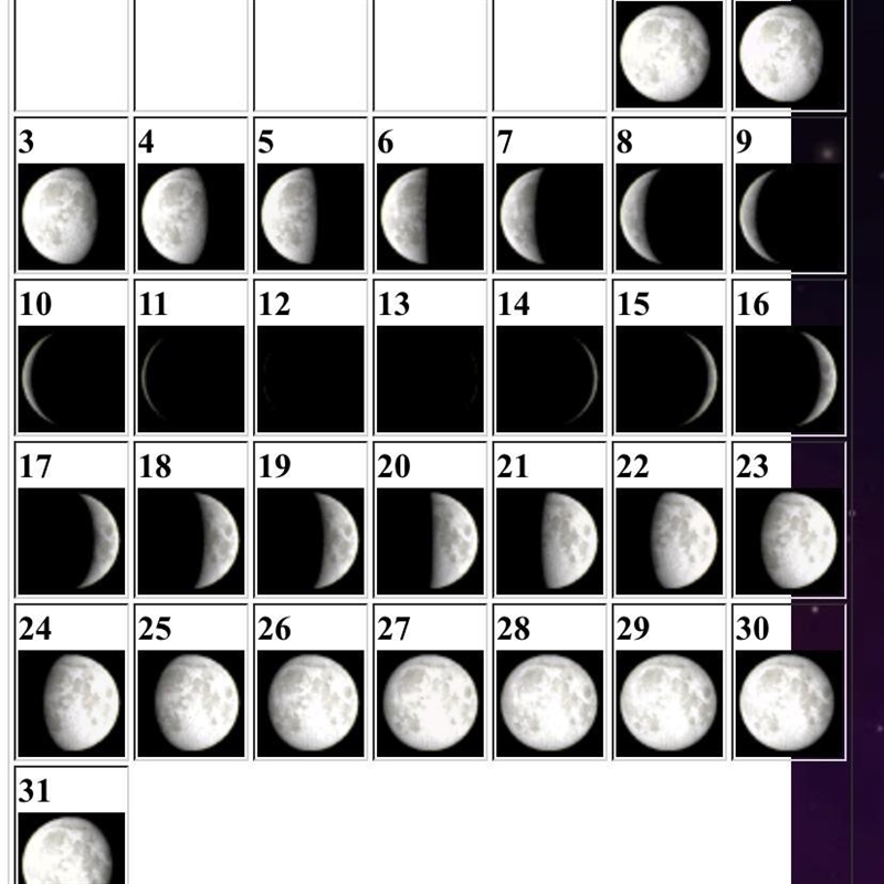 If the moon is half full on January 2, on approximately what date will it next become-example-1