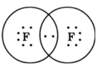 Hello how to draw the electron dot structure of H2S and F2?​-example-2