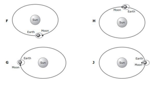 Which of these models shows the position of the sun moon and Earth that will have-example-1